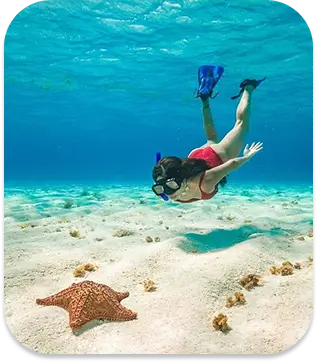 Snorkel