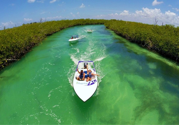 Altus Tours — Jungle Tour Single Cancun  in Riviera Maya