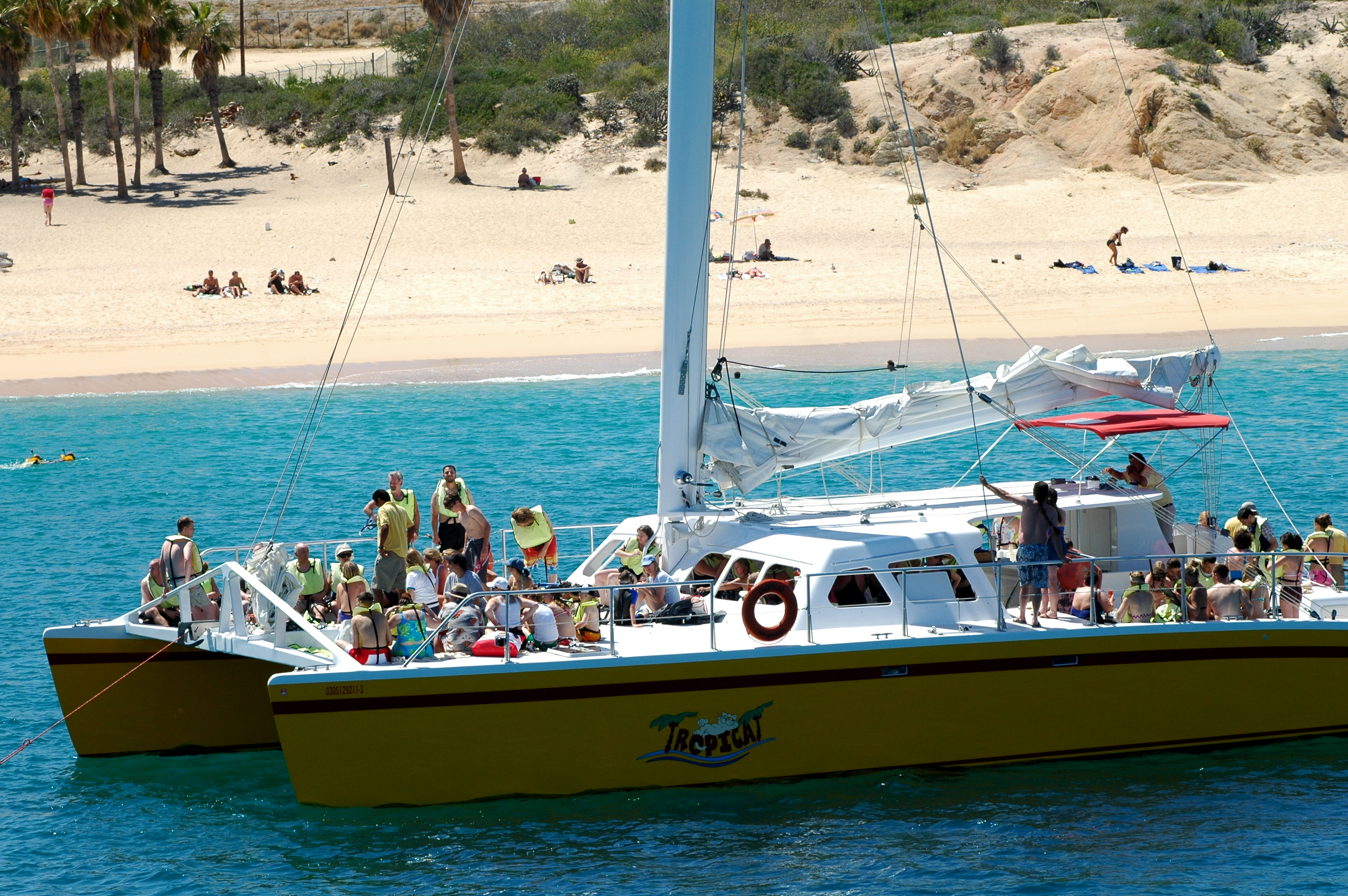 Tropicat Catamaran con Jazz y Vino desde Los Cabos