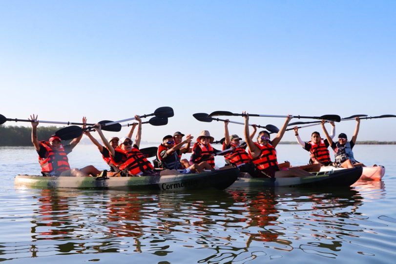 Kayaks en Manglares de Cancún