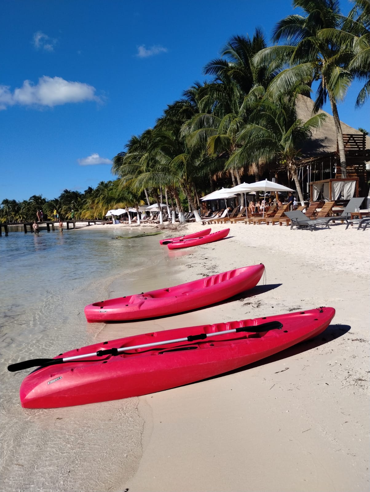 Isla Mujeres Catamaran ¡Club de Playa  con Alberca y Buffet! Caribe Golden 
