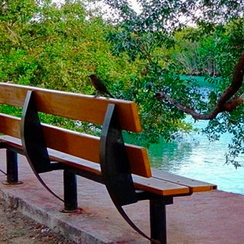 art garden in cancun